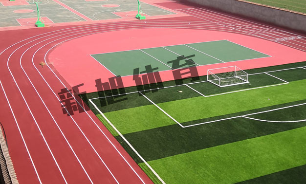 荫蒂被男人添A片视频