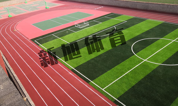 荫蒂被男人添A片视频