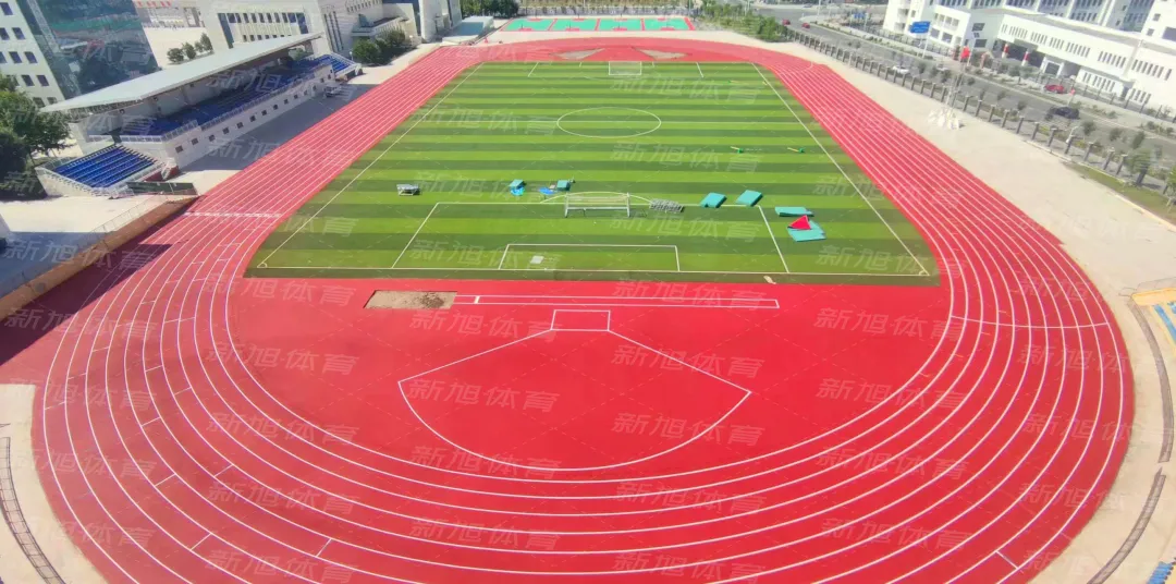 荫蒂被男人添A片视频