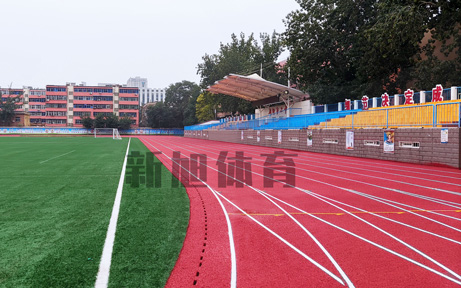 新旭体育塑胶跑道源头工厂