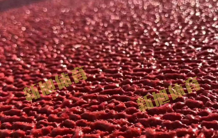 新旭体育混合型自结纹塑胶跑道喷涂施工