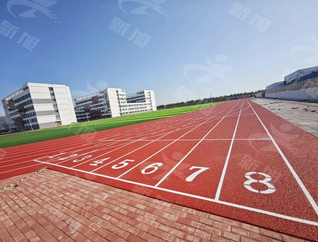 荫蒂被男人添A片视频