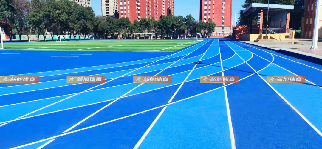 新疆全塑自结纹塑胶跑道完工